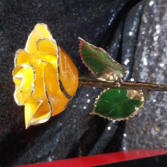 I Hate Steven Singer - Picture 6 of 7